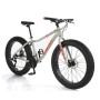 Bicicleta Elleven Aliens Fat Bike aro 26 